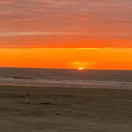 In Near The Oostende