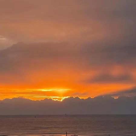 In Near The Daire Oostende